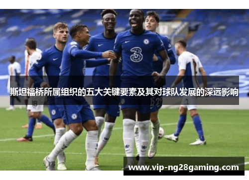 斯坦福桥所属组织的五大关键要素及其对球队发展的深远影响