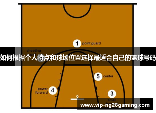 如何根据个人特点和球场位置选择最适合自己的篮球号码