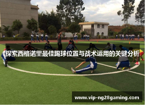 探索西格诺里最佳踢球位置与战术运用的关键分析