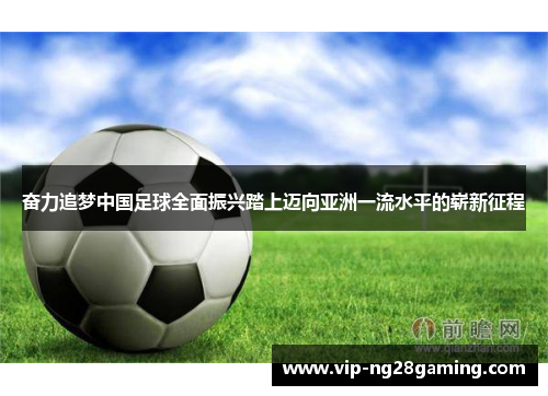 奋力追梦中国足球全面振兴踏上迈向亚洲一流水平的崭新征程