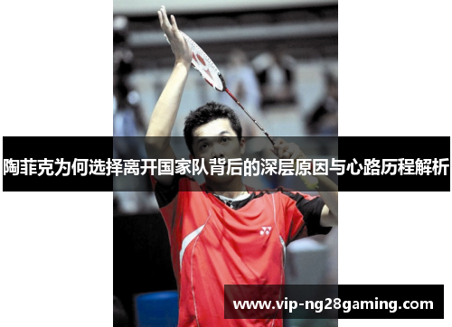 陶菲克为何选择离开国家队背后的深层原因与心路历程解析