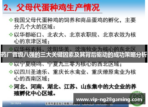 药厂晋级八强的三大关键因素及其背后驱动的成功策略分析
